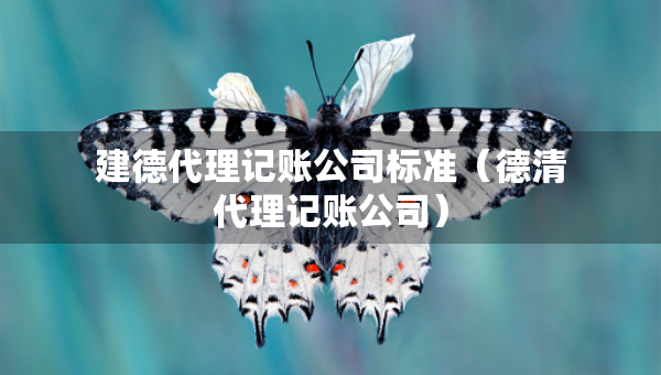 建德代理記賬公司標(biāo)準(zhǔn)（德清代理記賬公司）