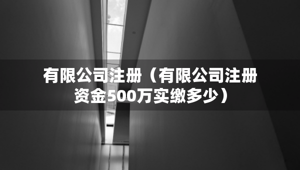 有限公司注冊（有限公司注冊資金500萬實(shí)繳多少）