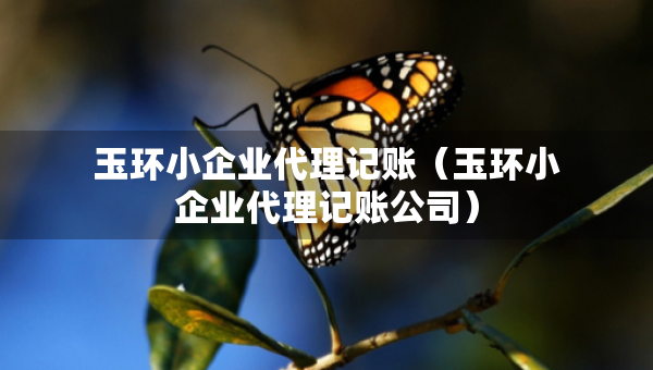 玉環(huán)小企業(yè)代理記賬（玉環(huán)小企業(yè)代理記賬公司）