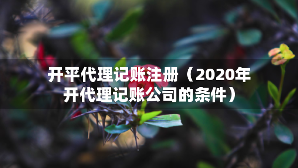 開平代理記賬注冊（2020年開代理記賬公司的條件）