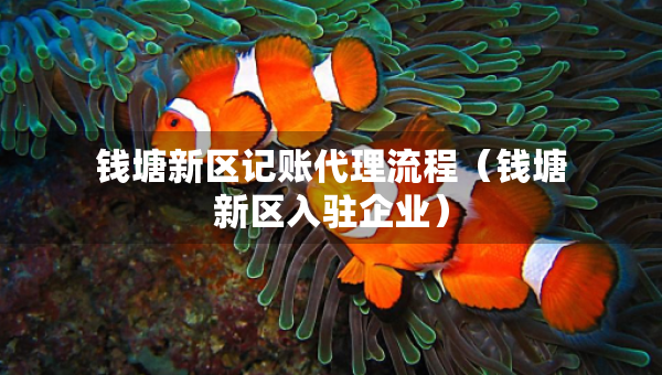 錢塘新區(qū)記賬代理流程（錢塘新區(qū)入駐企業(yè)）