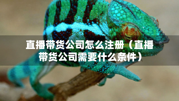 直播帶貨公司怎么注冊（直播帶貨公司需要什么條件）