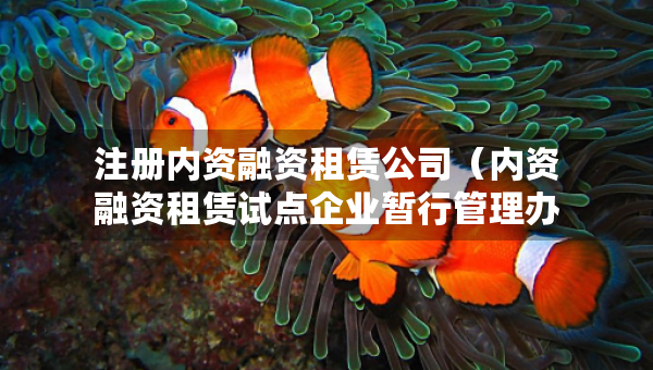 注冊內資融資租賃公司（內資融資租賃試點企業(yè)暫行管理辦法）