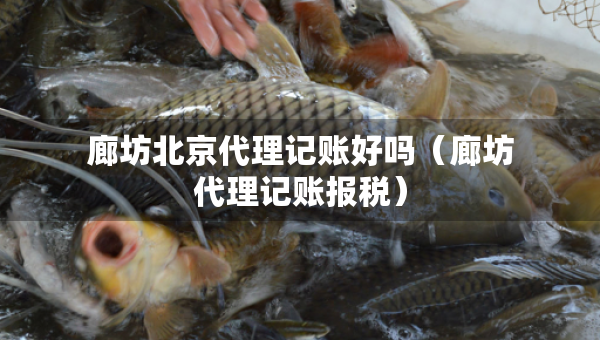 廊坊北京代理記賬好嗎（廊坊代理記賬報(bào)稅）