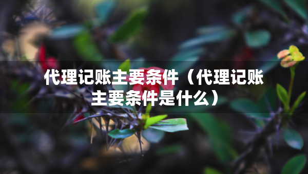 代理記賬主要條件（代理記賬主要條件是什么）
