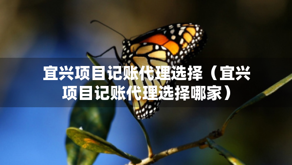 宜興項目記賬代理選擇（宜興項目記賬代理選擇哪家）