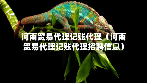 河南貿(mào)易代理記賬代理（河南貿(mào)易代理記賬代理招聘信息）