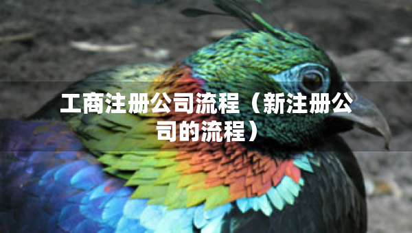 工商注冊(cè)公司流程（新注冊(cè)公司的流程）