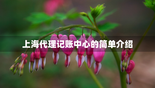 上海代理記賬中心的簡(jiǎn)單介紹