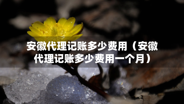 安徽代理記賬多少費(fèi)用（安徽代理記賬多少費(fèi)用一個(gè)月）