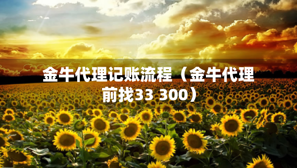 金牛代理記賬流程（金牛代理前找33 300）