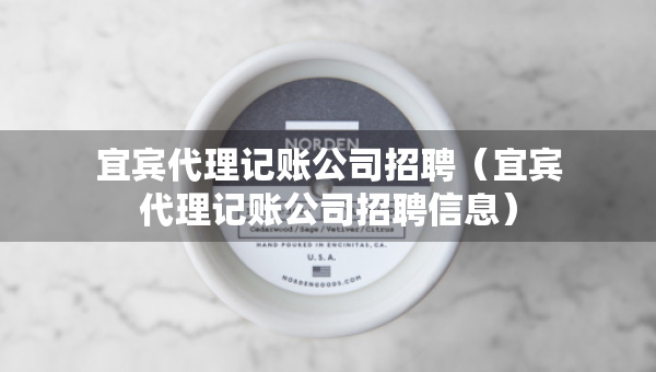 宜賓代理記賬公司招聘（宜賓代理記賬公司招聘信息）