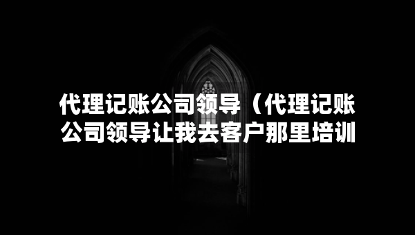 代理記賬公司領(lǐng)導(dǎo)（代理記賬公司領(lǐng)導(dǎo)讓我去客戶那里培訓(xùn)）