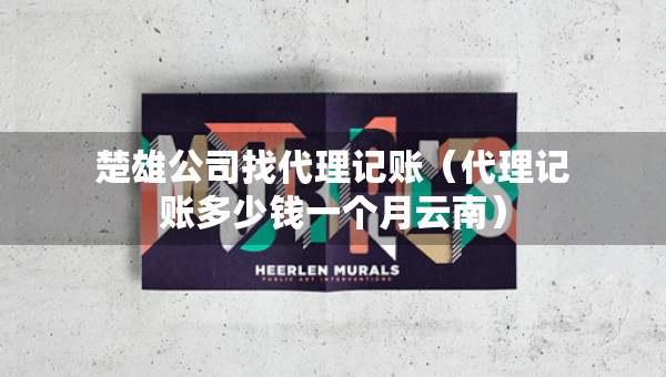 楚雄公司找代理記賬（代理記賬多少錢一個(gè)月云南）