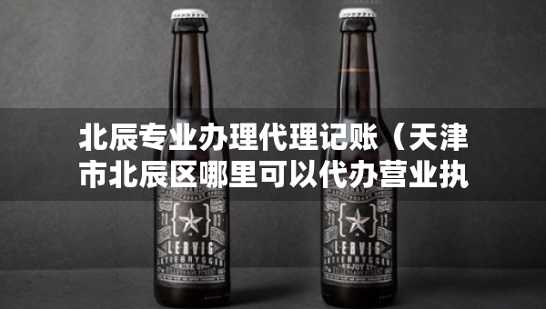 北辰專業(yè)辦理代理記賬（天津市北辰區(qū)哪里可以代辦營業(yè)執(zhí)照）