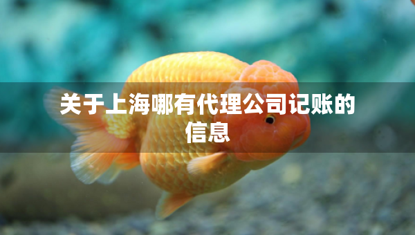 關于上海哪有代理公司記賬的信息