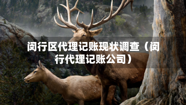 閔行區(qū)代理記賬現(xiàn)狀調(diào)查（閔行代理記賬公司）