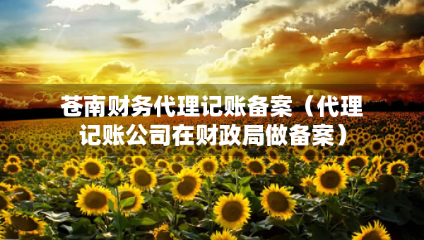蒼南財務代理記賬備案（代理記賬公司在財政局做備案）
