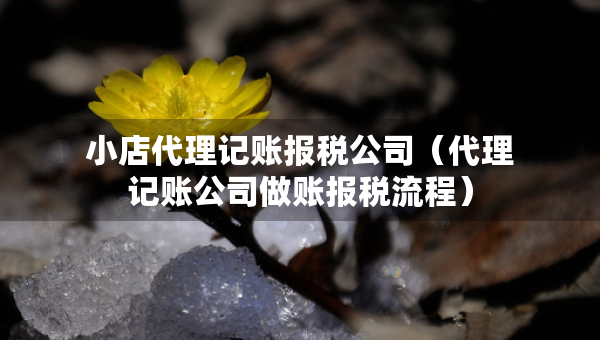 小店代理記賬報稅公司（代理記賬公司做賬報稅流程）