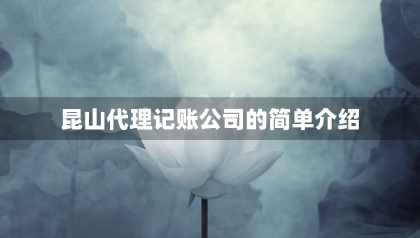 昆山代理記賬公司的簡單介紹
