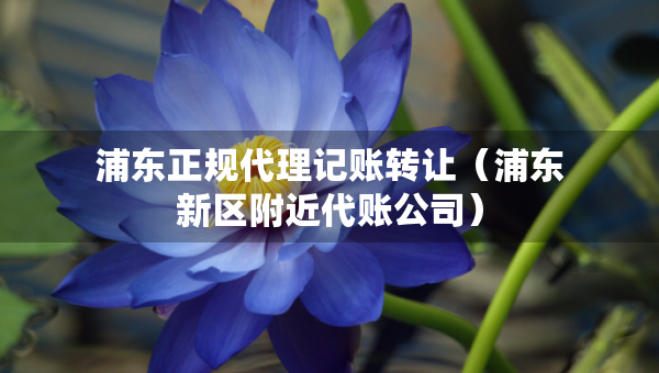 浦東正規(guī)代理記賬轉(zhuǎn)讓?zhuān)ㄆ謻|新區(qū)附近代賬公司）