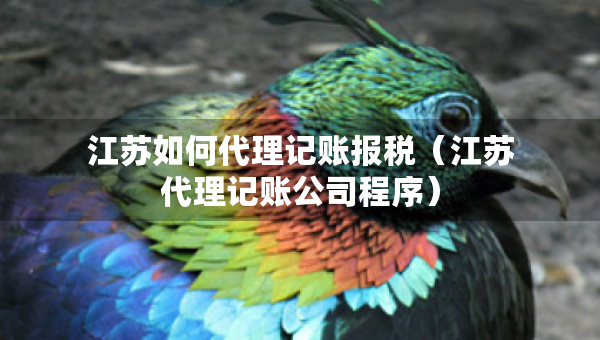 江蘇如何代理記賬報(bào)稅（江蘇代理記賬公司程序）