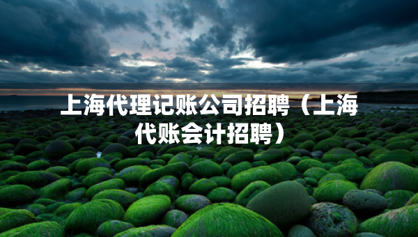 上海代理記賬公司招聘（上海代賬會(huì)計(jì)招聘）