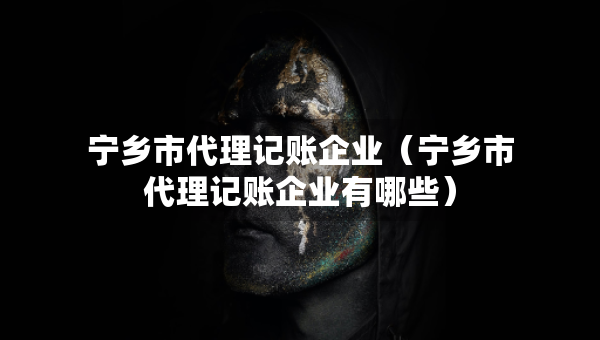 寧鄉(xiāng)市代理記賬企業(yè)（寧鄉(xiāng)市代理記賬企業(yè)有哪些）
