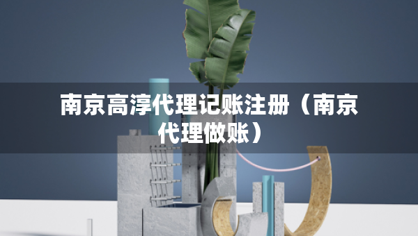 南京高淳代理記賬注冊(cè)（南京代理做賬）