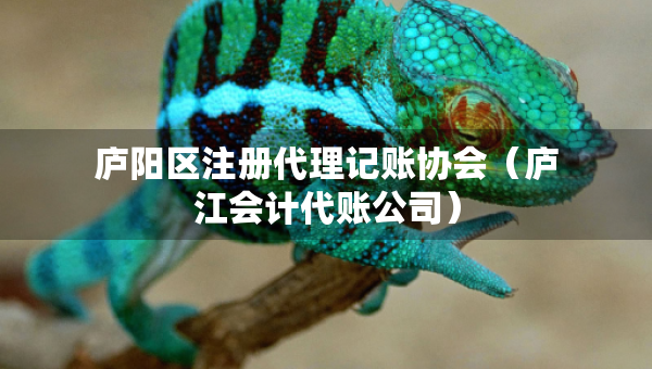 廬陽區(qū)注冊(cè)代理記賬協(xié)會(huì)（廬江會(huì)計(jì)代賬公司）