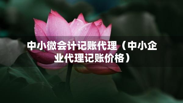 中小微會計記賬代理（中小企業(yè)代理記賬價格）