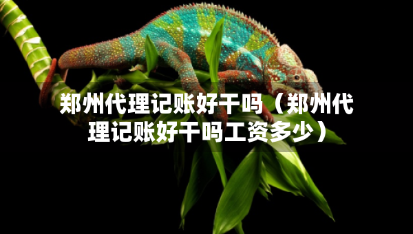 鄭州代理記賬好干嗎（鄭州代理記賬好干嗎工資多少）