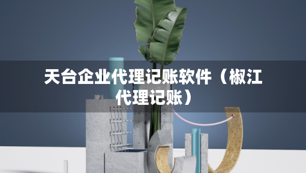 天臺(tái)企業(yè)代理記賬軟件（椒江代理記賬）