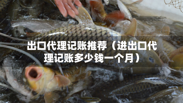出口代理記賬推薦（進(jìn)出口代理記賬多少錢一個(gè)月）
