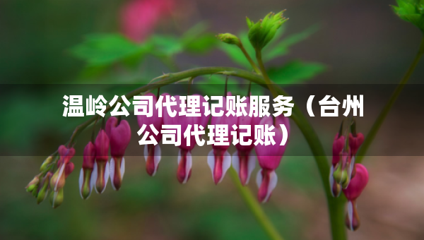 溫嶺公司代理記賬服務(wù)（臺州公司代理記賬）