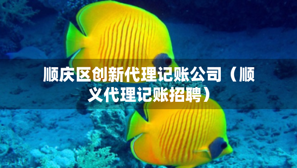 順慶區(qū)創(chuàng)新代理記賬公司（順義代理記賬招聘）
