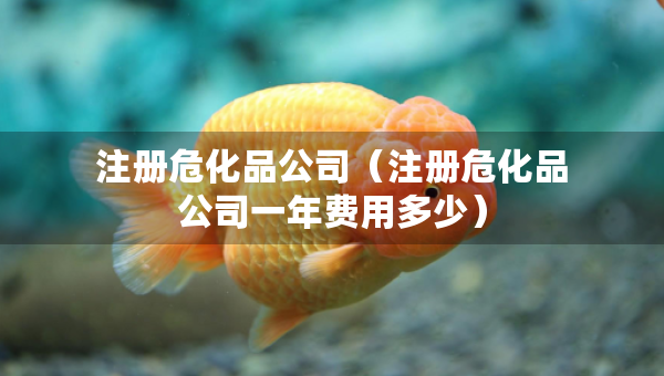 注冊危化品公司（注冊?；饭疽荒曩M用多少）