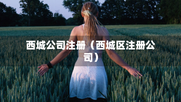 西城公司注冊（西城區(qū)注冊公司）
