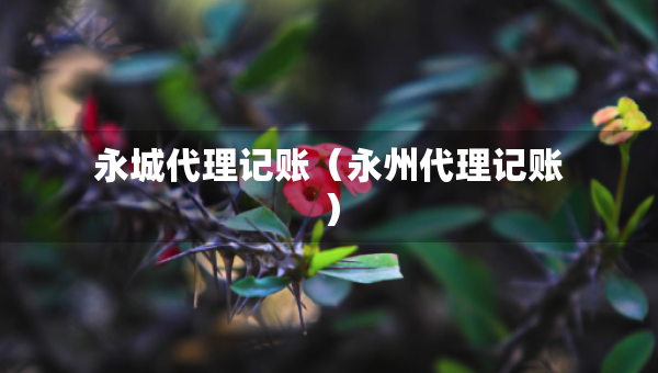 永城代理記賬（永州代理記賬）