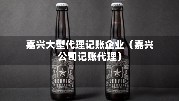 嘉興大型代理記賬企業(yè)（嘉興公司記賬代理）