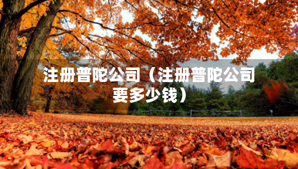 注冊(cè)普陀公司（注冊(cè)普陀公司要多少錢(qián)）