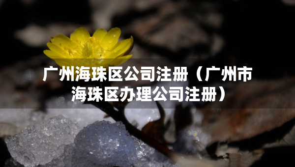 廣州海珠區(qū)公司注冊(cè)（廣州市海珠區(qū)辦理公司注冊(cè)）