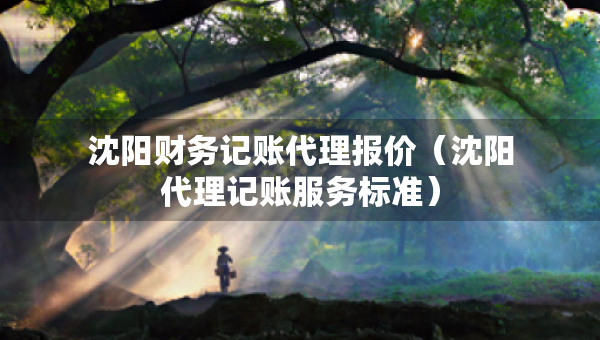 沈陽財務(wù)記賬代理報價（沈陽代理記賬服務(wù)標(biāo)準(zhǔn)）