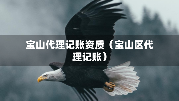 寶山代理記賬資質(zhì)（寶山區(qū)代理記賬）