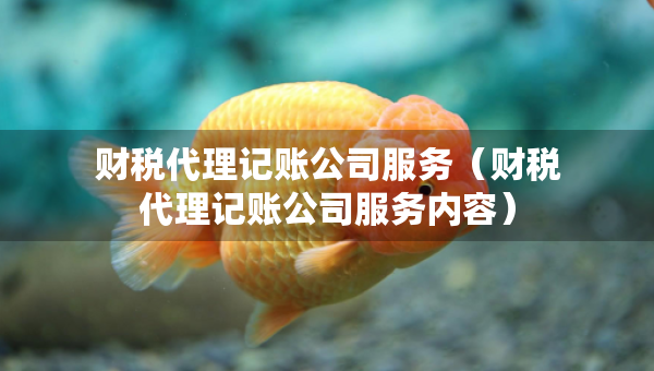 財(cái)稅代理記賬公司服務(wù)（財(cái)稅代理記賬公司服務(wù)內(nèi)容）