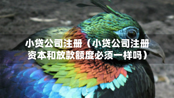 小貸公司注冊（小貸公司注冊資本和放款額度必須一樣嗎）