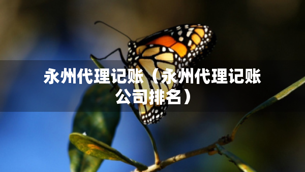 永州代理記賬（永州代理記賬公司排名）