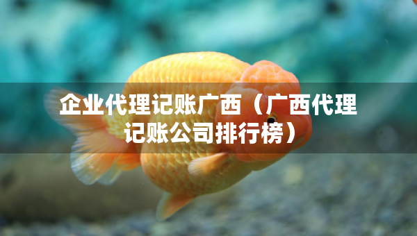 企業(yè)代理記賬廣西（廣西代理記賬公司排行榜）