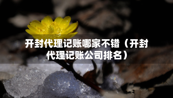 開封代理記賬哪家不錯（開封代理記賬公司排名）