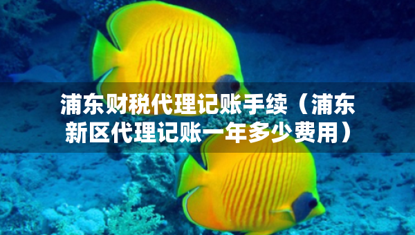 浦東財(cái)稅代理記賬手續(xù)（浦東新區(qū)代理記賬一年多少費(fèi)用）